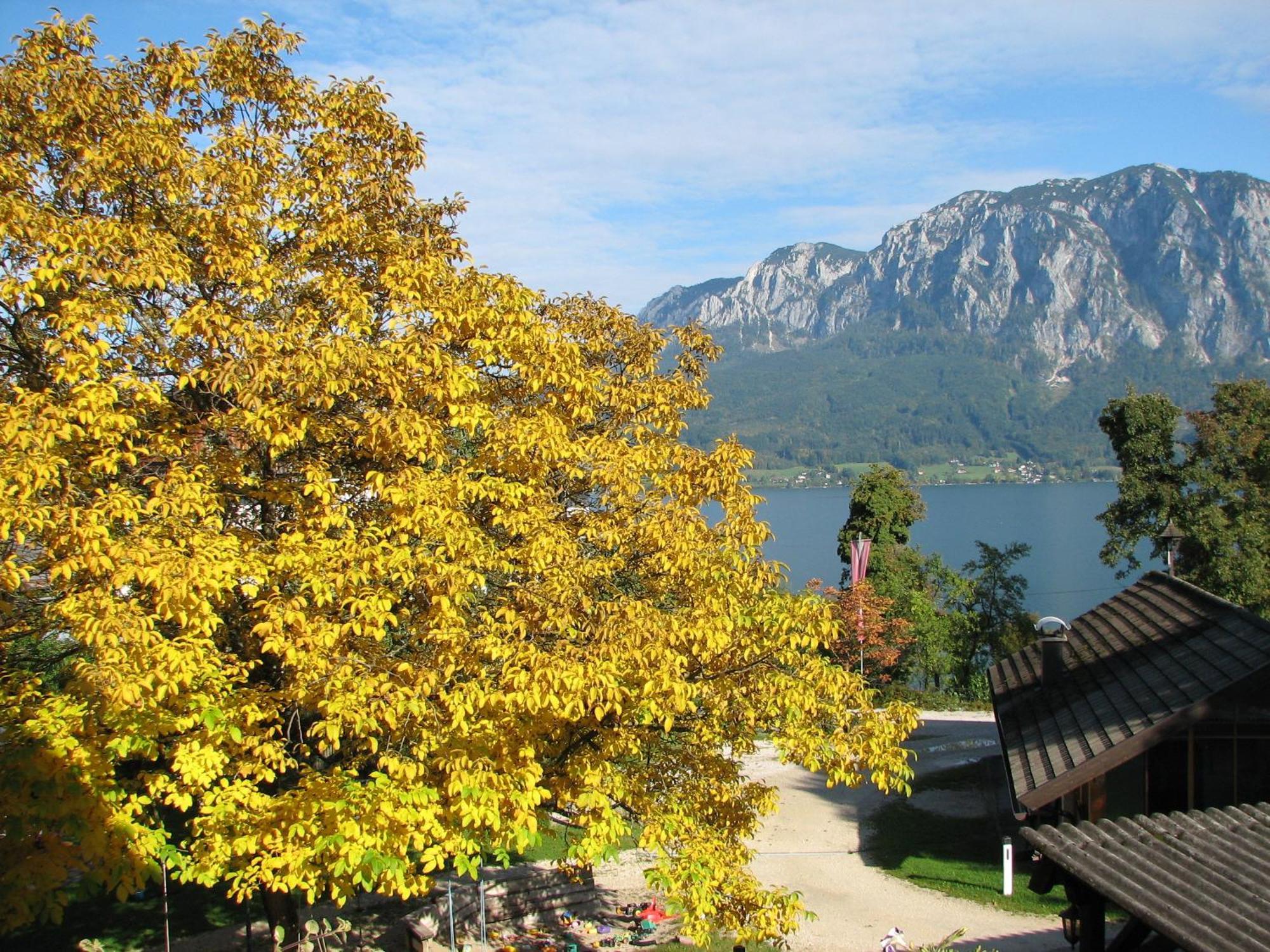Pension Christina Unterach am Attersee Δωμάτιο φωτογραφία